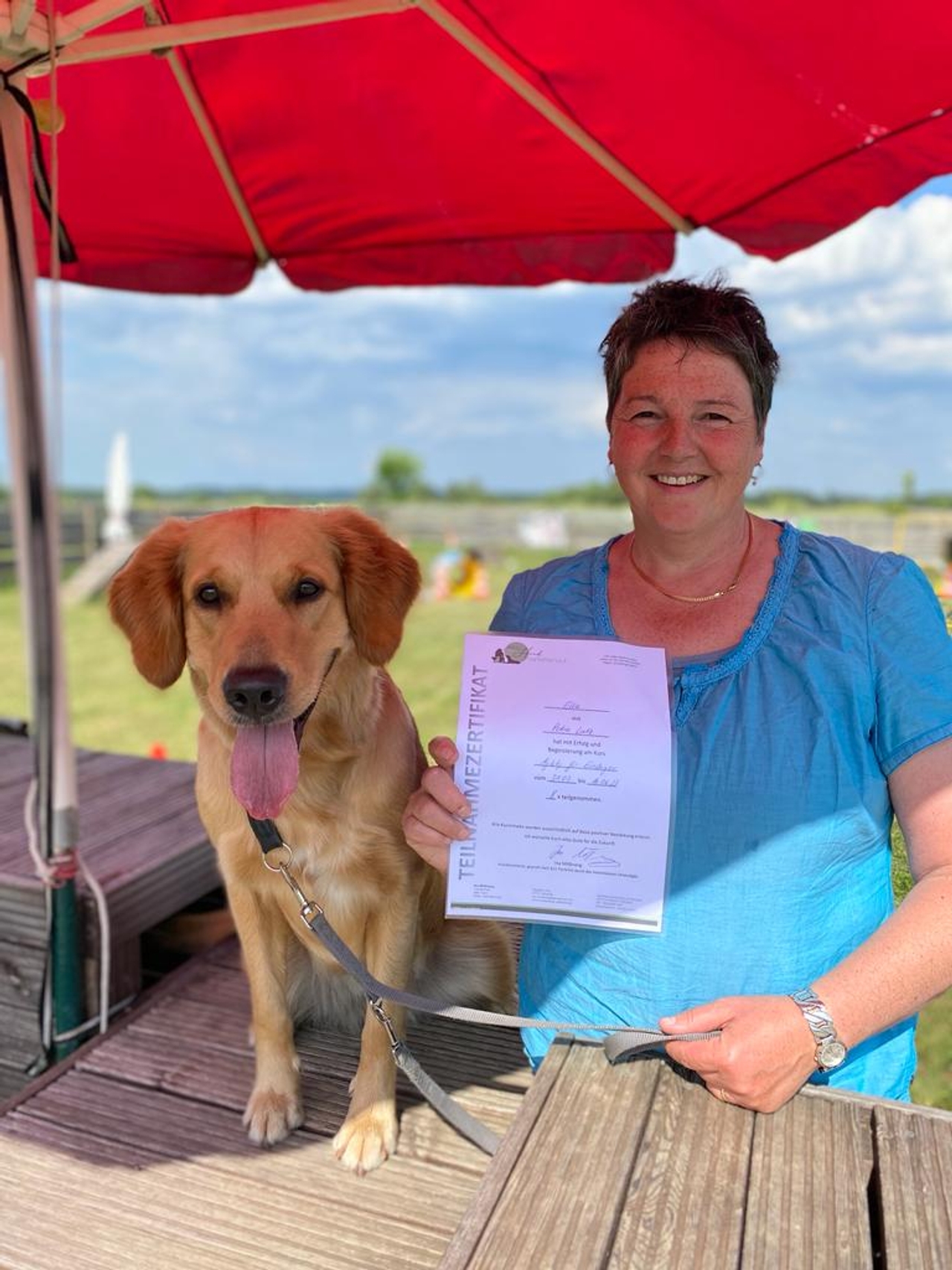 Unser Schulhund Ella – ein Zwischenbericht