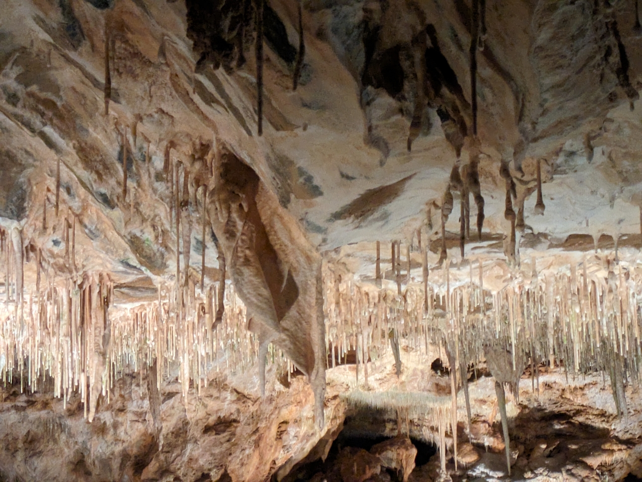 Schüleraustausch mit Sternberk