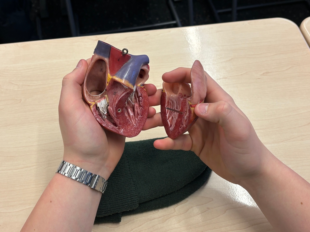 Exkursion zur Berufsfachschule für Pflege