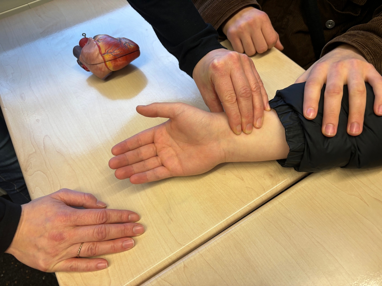 Exkursion zur Berufsfachschule für Pflege