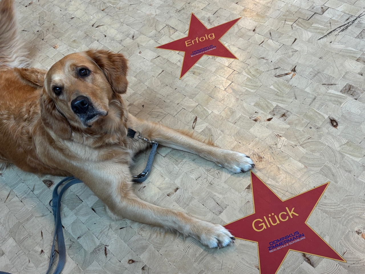 Lobprojekt: Juniauslosung