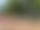 Springen, Laufen, Werfen